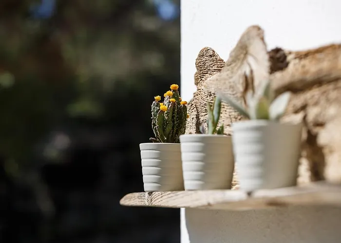 Appartement Sand Ormos Panagias