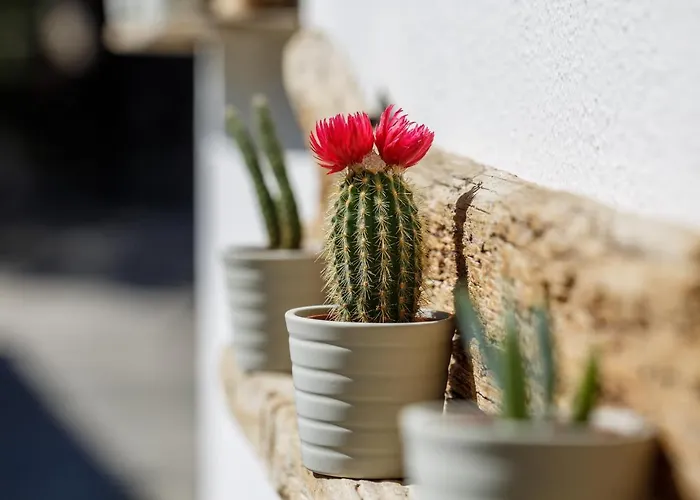 Sand Órmosz Panajász