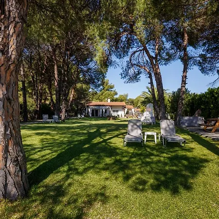 Sand 오르모스 파나기아스